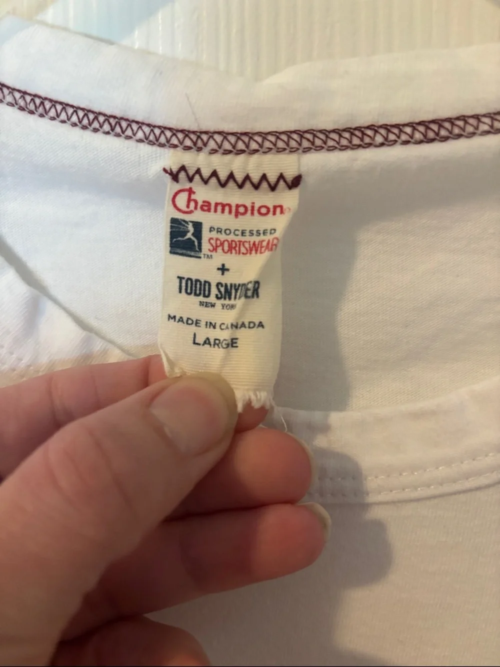 Champion White Tee with Rainbow CHAMPION PRIDE Logo - Picture 2 of 5